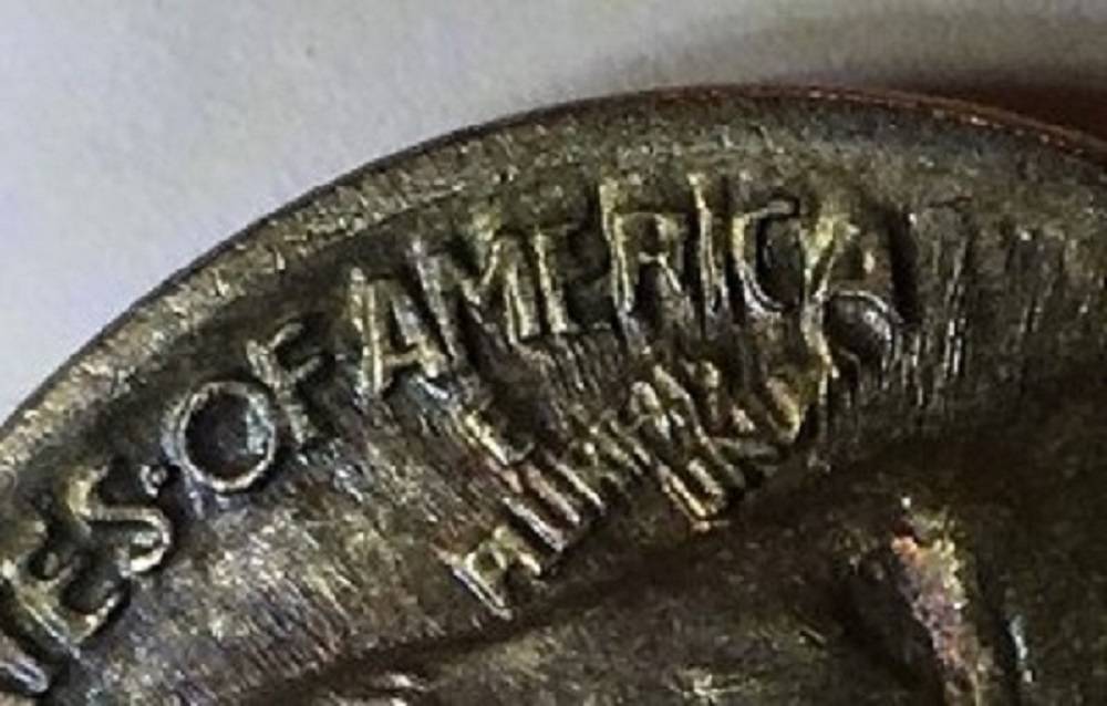 1913-D-Type-1-Buffalo-Indian-Nickel.--Toned.--Gawk.--Grade.