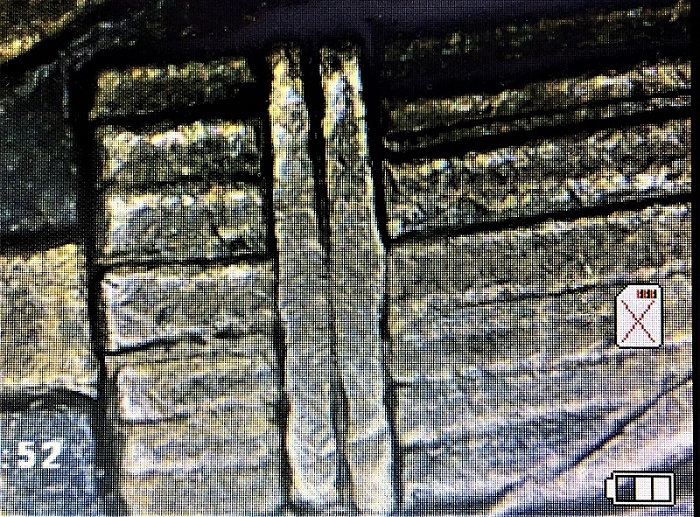 1920-D-Mercury-Dime.--Worthy-Of-Grading?--If-So,-What-Grade?