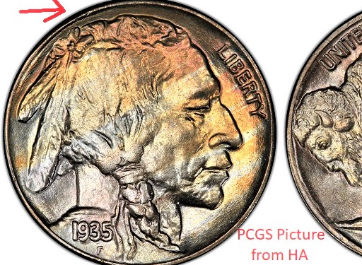 1935-Buffalo-Rim-Ding/Damage.--Is-This-A-Factor?--Degrader?