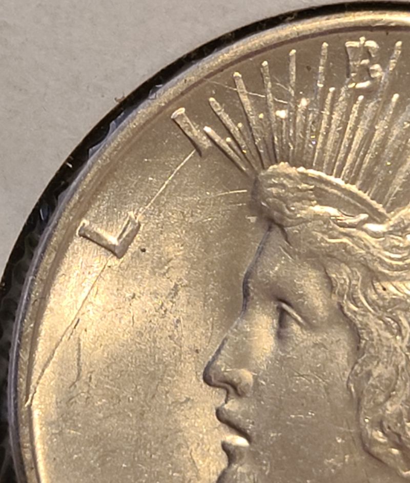 1923-D-Peace-Dollar-VAM?