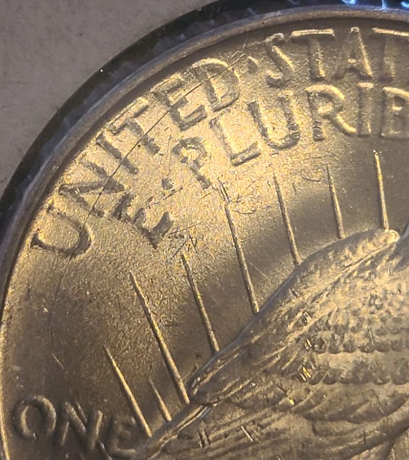 1923-D-Peace-Dollar-VAM?