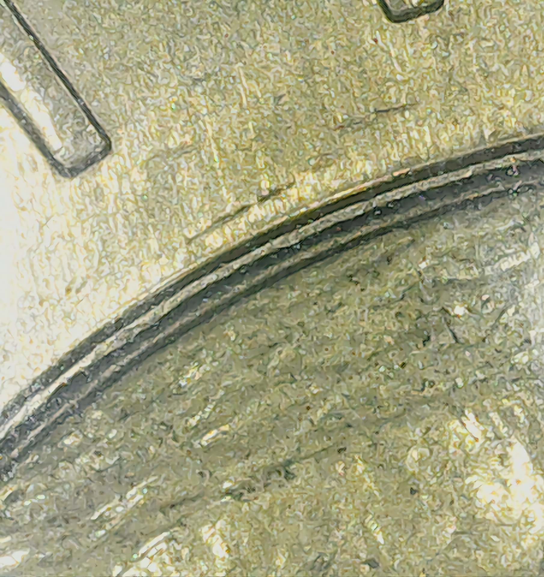 Recently-Bought-This-Toonie,-Can-Someone-Tell-Me-What-I-Have?