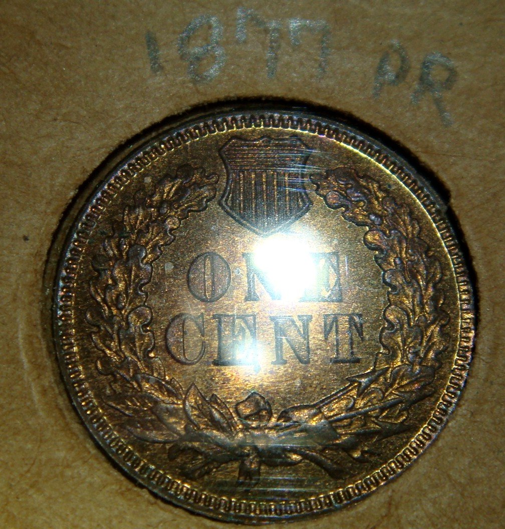 Flying-Eagle-/-Indian-Head-Collection-In-Old-Album-Pages
