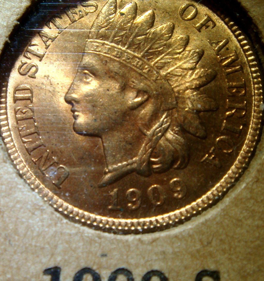 Flying-Eagle-/-Indian-Head-Collection-In-Old-Album-Pages