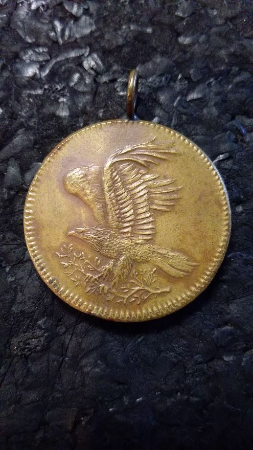 Please-Help-Identify-2-Sided-Pedant-Medallion-Freedom-Eagle-Id:-Unknown-Patriotic-Token