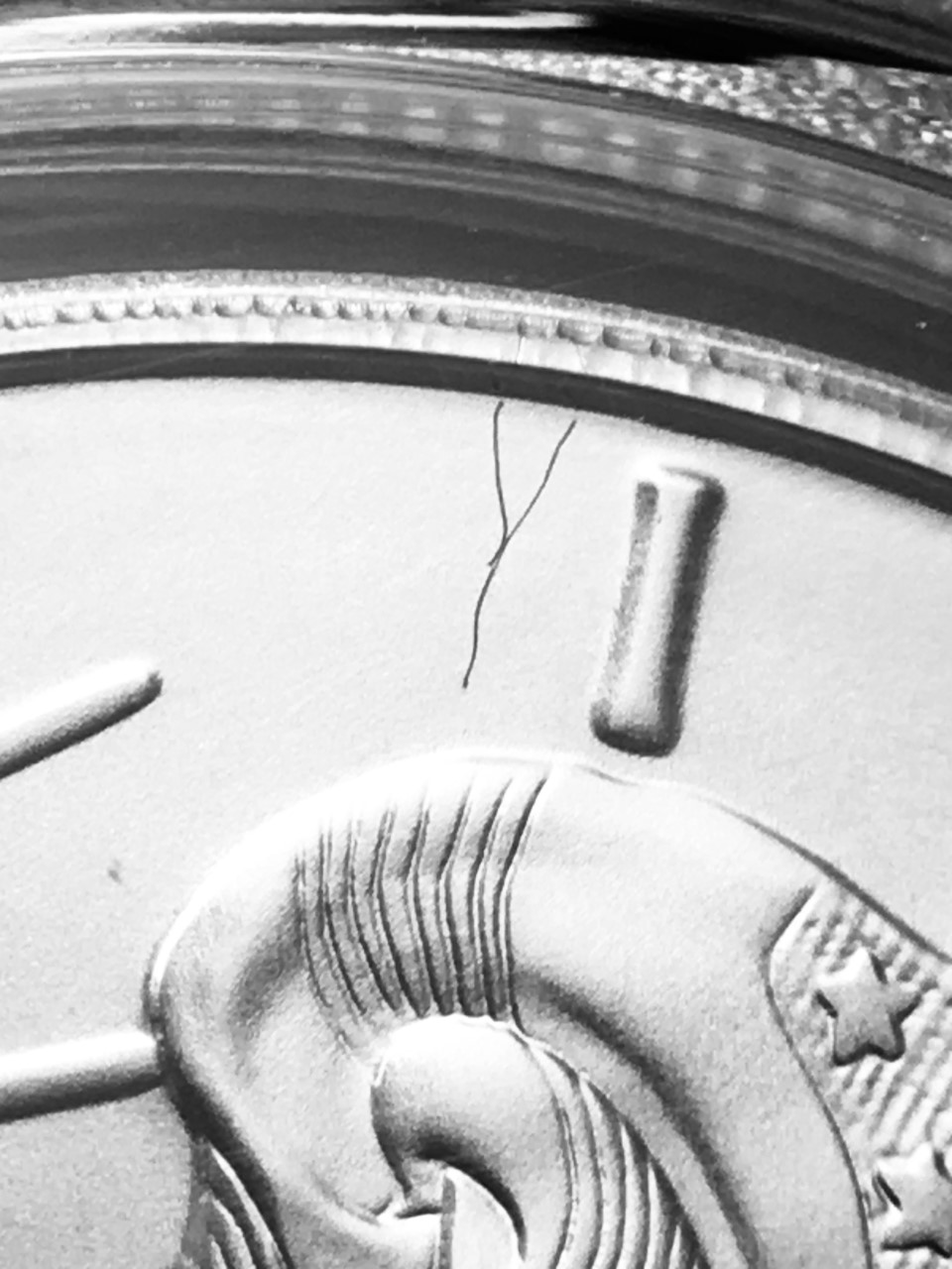 Struck-Through-Error-On-Silver-Eagle