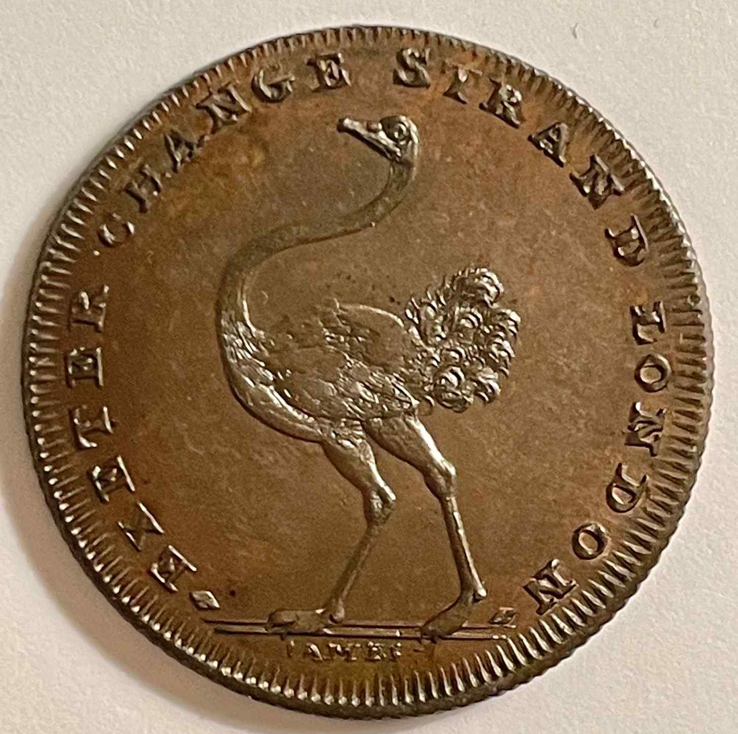 Post-Your-Bird-Coins