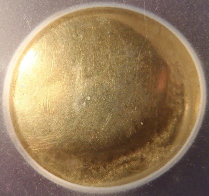 Post-Your-Coins-With-Horses