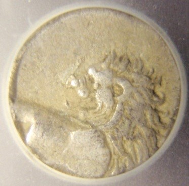 Post-Your-Coins-Representing-The-Animal-Kingdom.