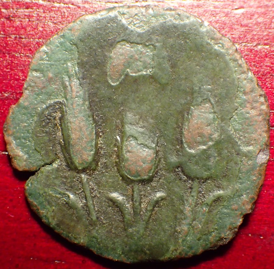 241-238Bc-Libyan-Revolt-Arsenic-Coins?-Please-Let-Me-Know-What-You-Think.