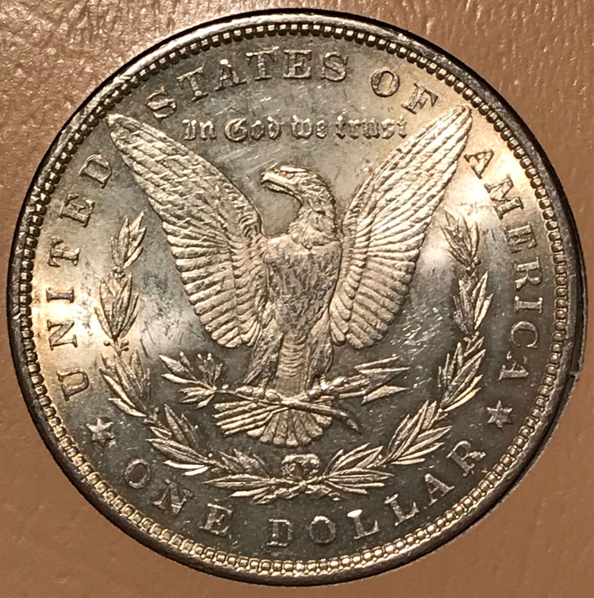 2-1881-P-Morgan-Dollars-Raw----Grading-Opinions