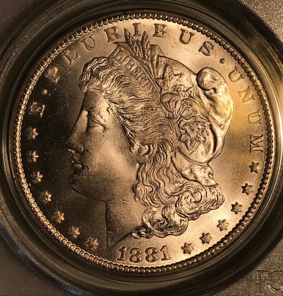1881-CC-Morgan-Dollar---You-Vs-PCGS