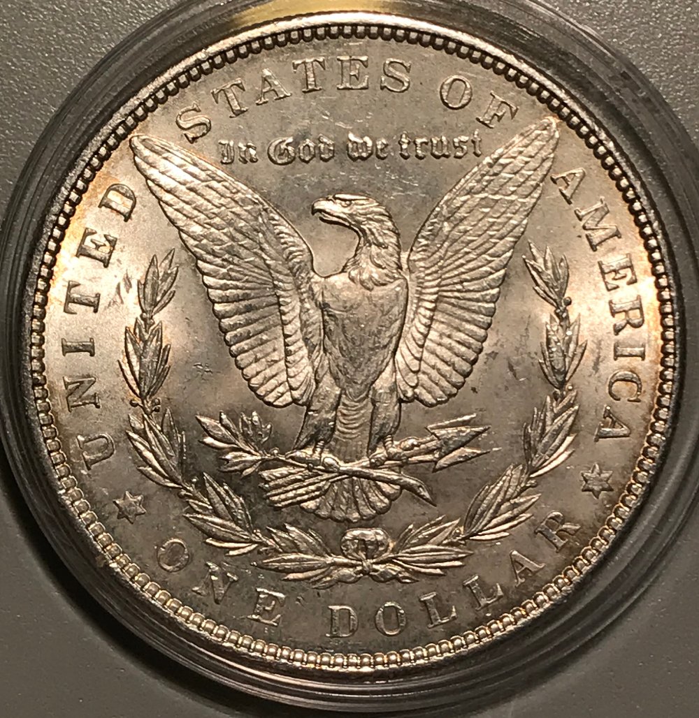 1900-P-Morgan-Dollar---Grading-Opinions