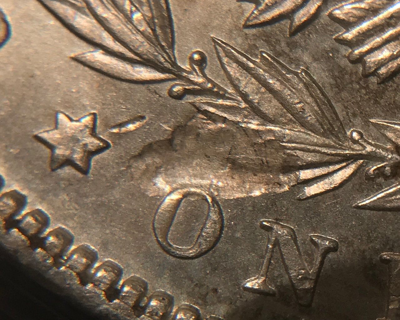 1890-P-Morgan-Dollar---Grading-Opinions