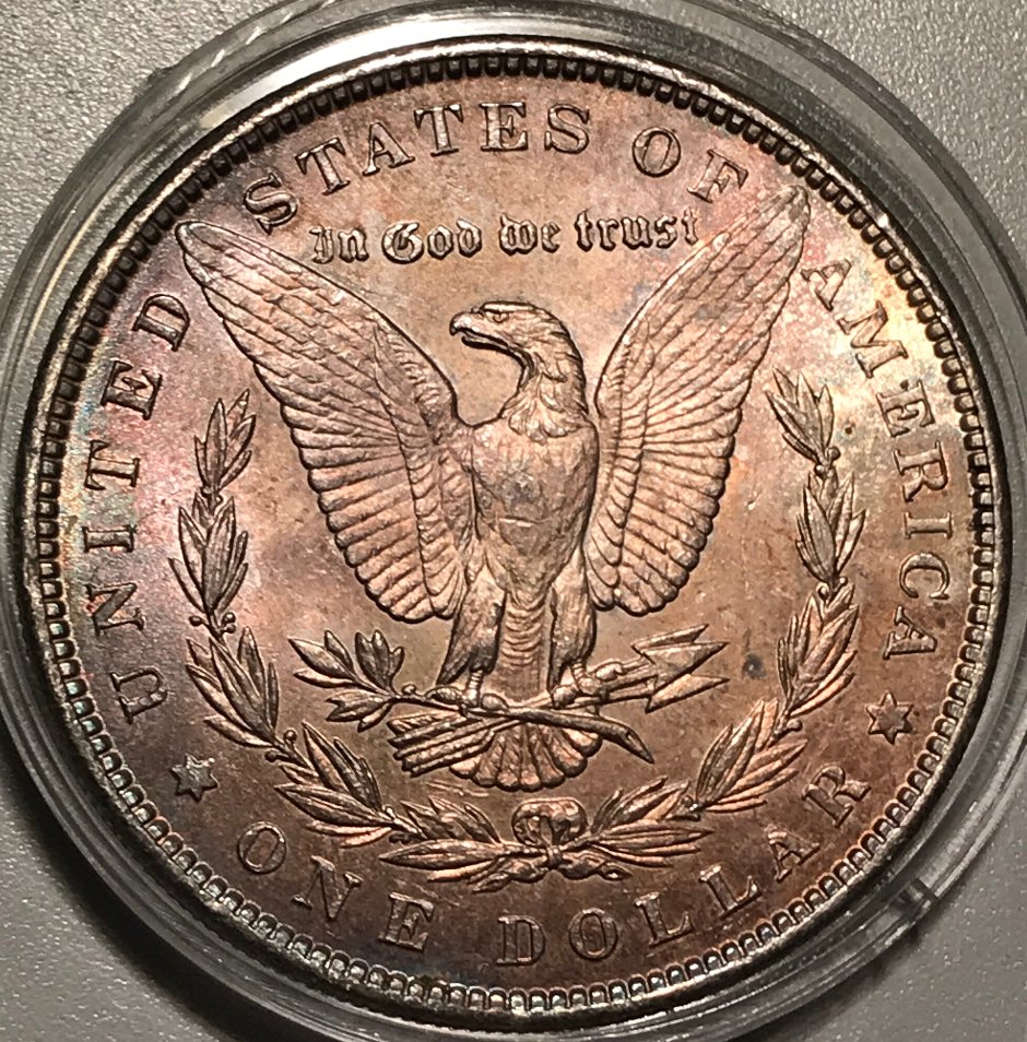 1890-P-Morgan-Dollar-#2---Grading-Opinions
