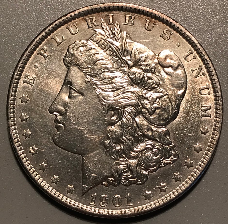 1901-P-Morgan-Dollar---Grading-Opinions