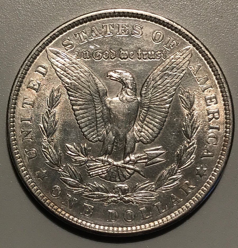 1901-P-Morgan-Dollar---Grading-Opinions