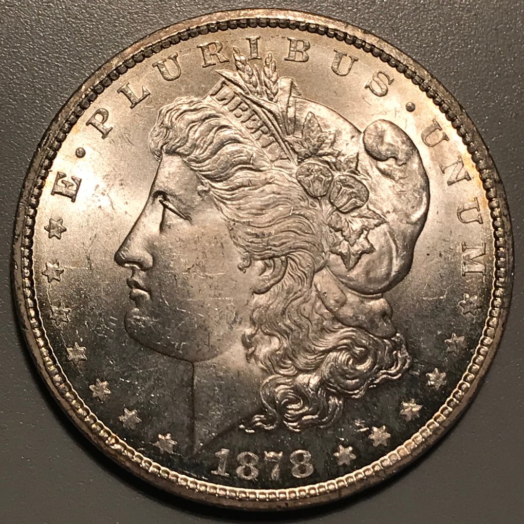 1878-CC-Morgan-Dollar---Grading-Opinions
