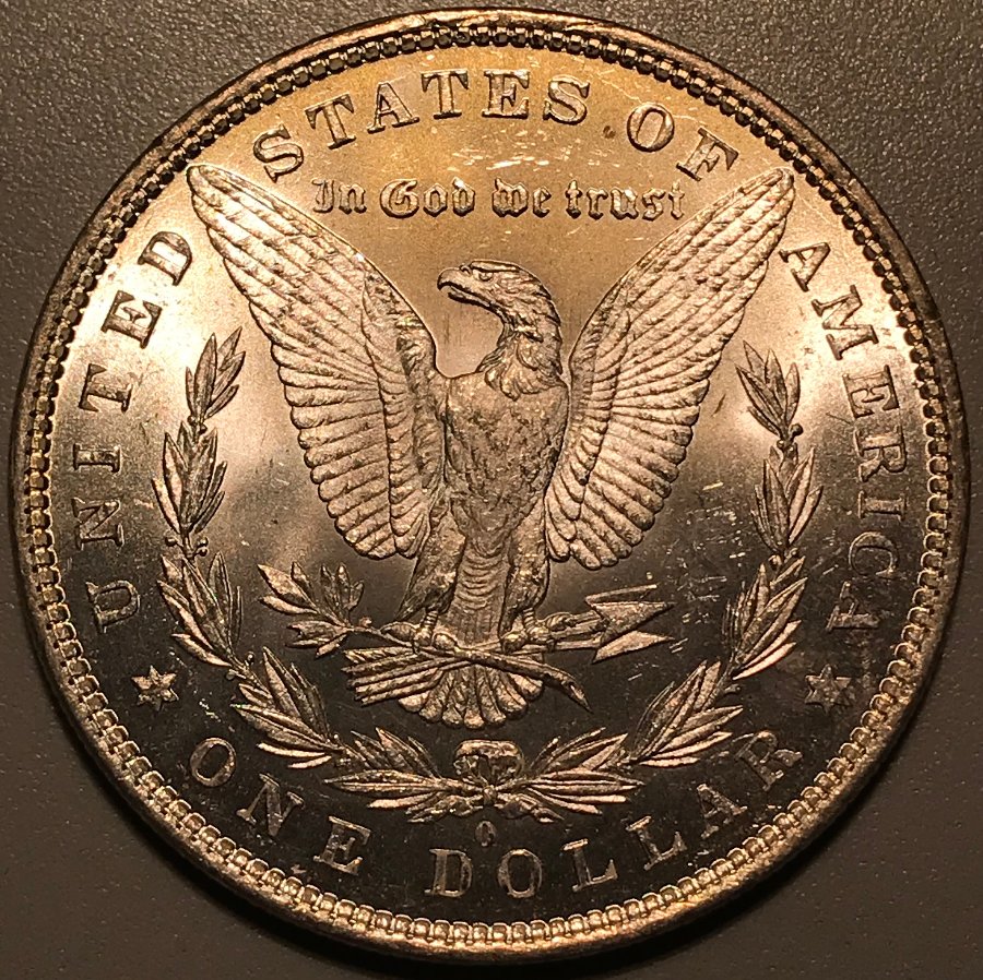 1881-O-Morgan-Dollar---Grading-Opinions