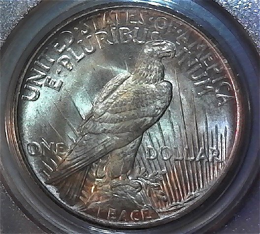 1921-Peace-Dollar---You-Vs-PCGS