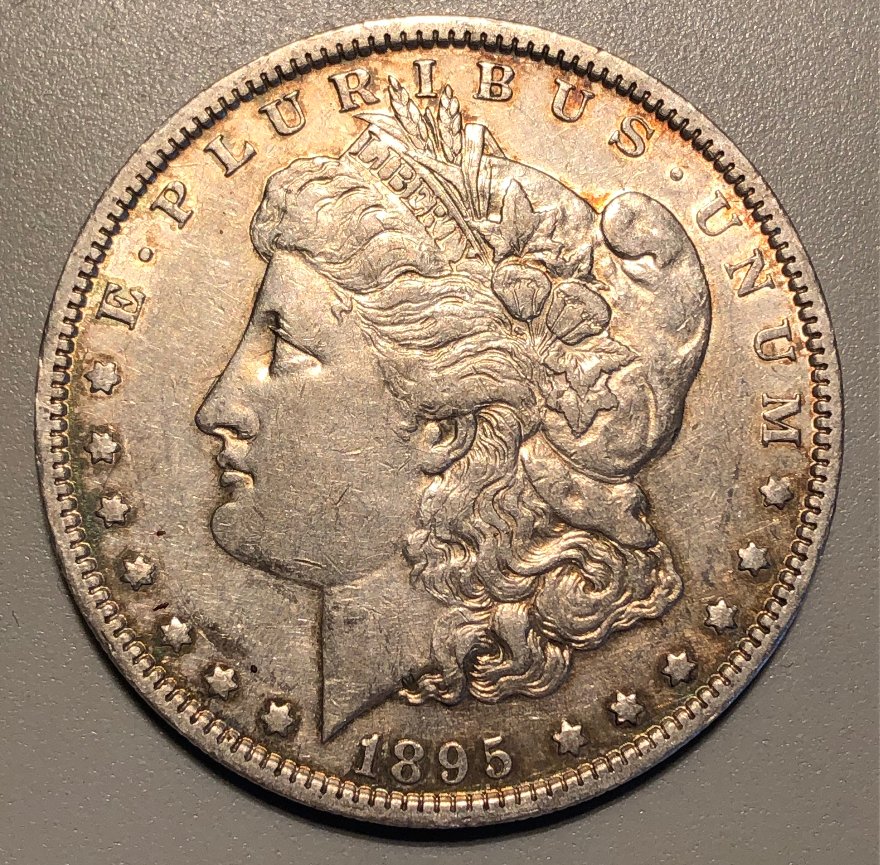 1895-O-Morgan-Dollar---Grading-Opinions