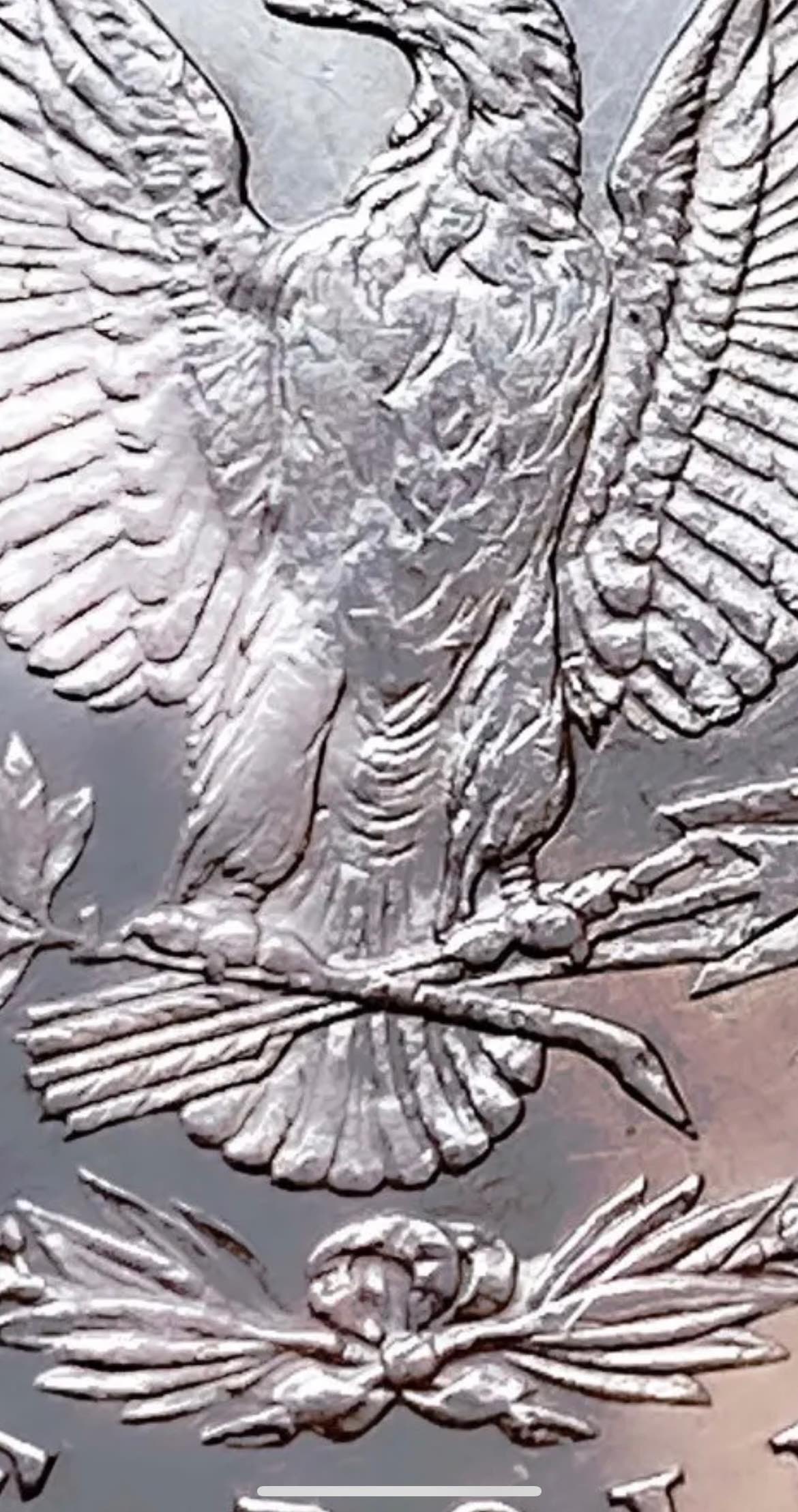 1878-8TF-Morgan---VAM-9