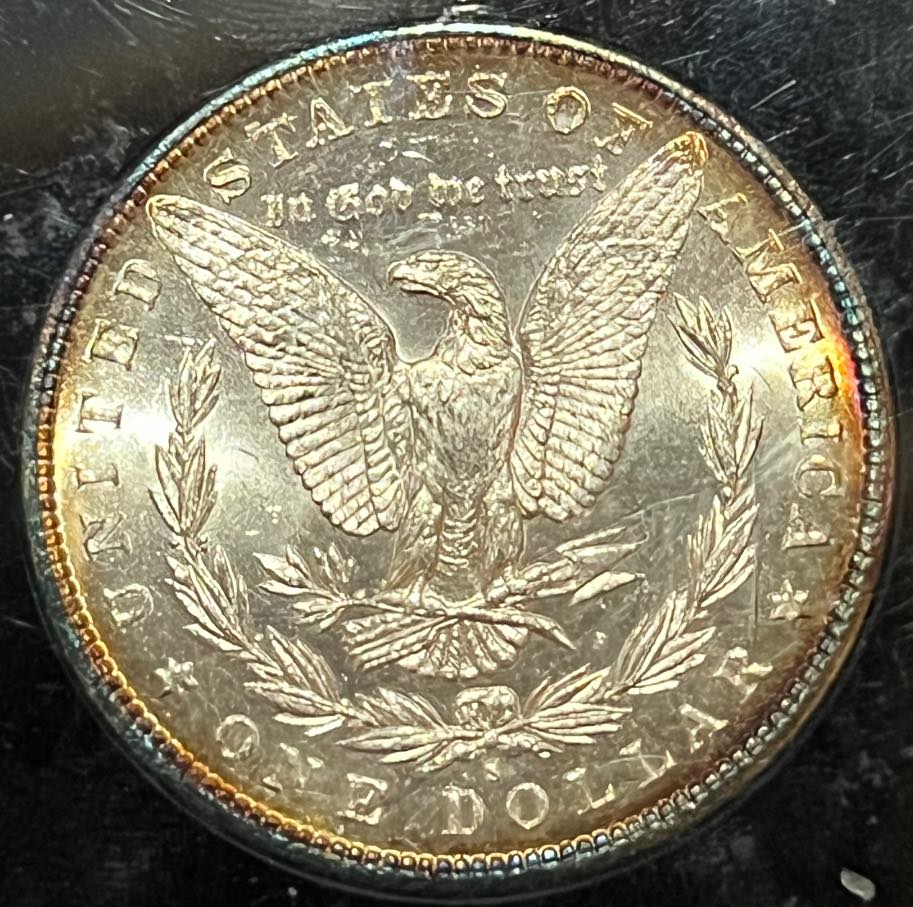 1881-S-Morgan-Opinions
