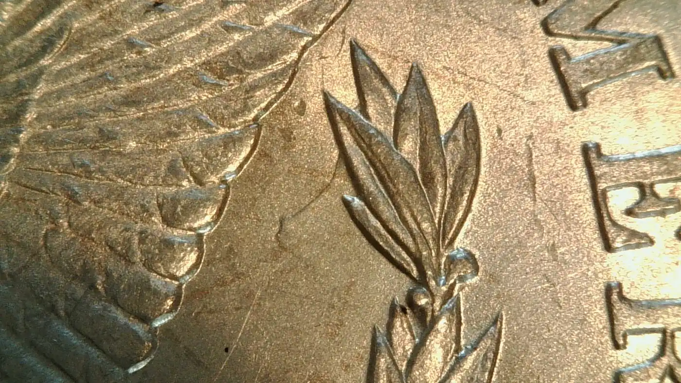 1884-Morgan-VAM2A-Or-Something-Else?