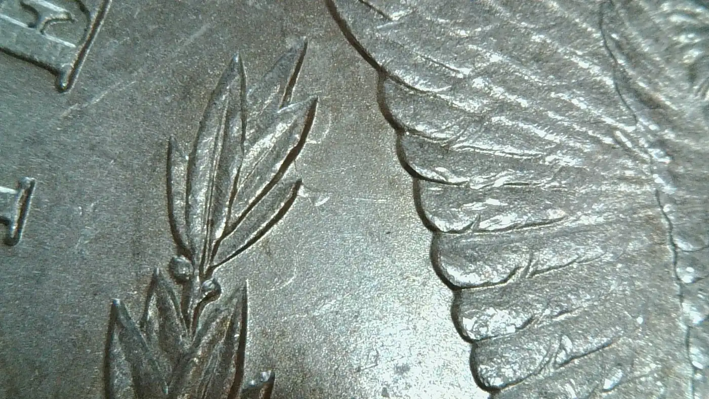 1884-Morgan-VAM2A-Or-Something-Else?