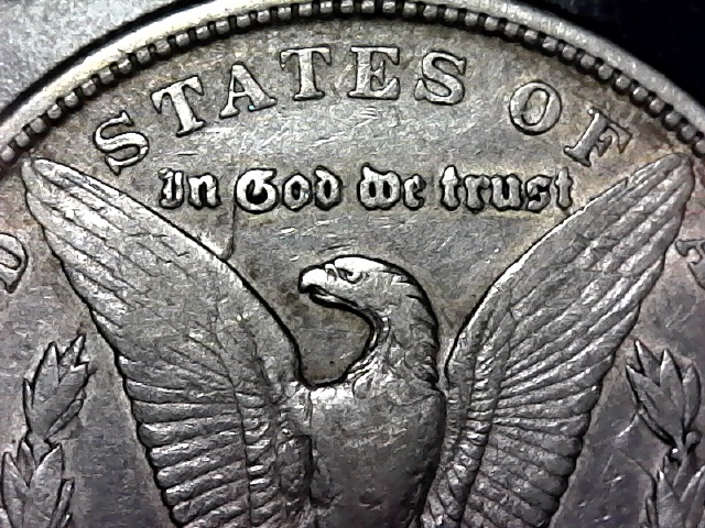1879-CC-Morgan-Dollar-For-Grading
