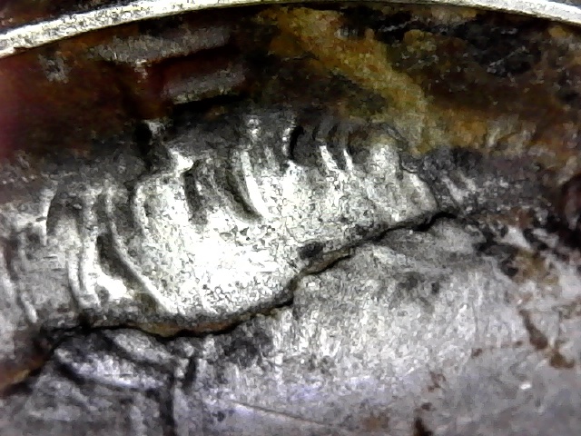 1969-D-Kennedy-Half-Could-This-Be-A-Die-Crack,-Or-Just-Corrosion?