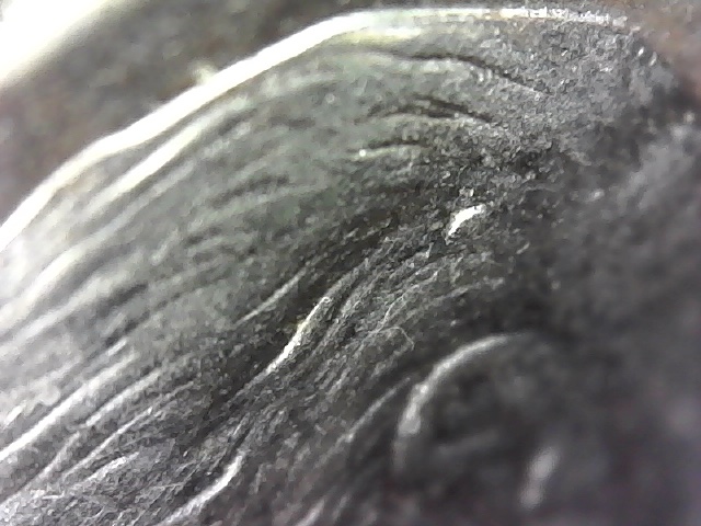 2007-P-Roosevelt-Dime-Die-Chip?