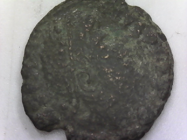 Just-A-Lighthearted-Post-About-Finding-Three-Tiny-Gold-Coins!