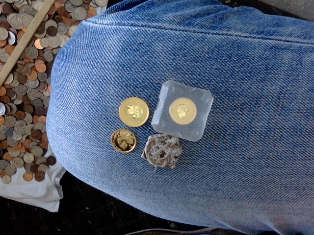 Just-A-Lighthearted-Post-About-Finding-Three-Tiny-Gold-Coins!