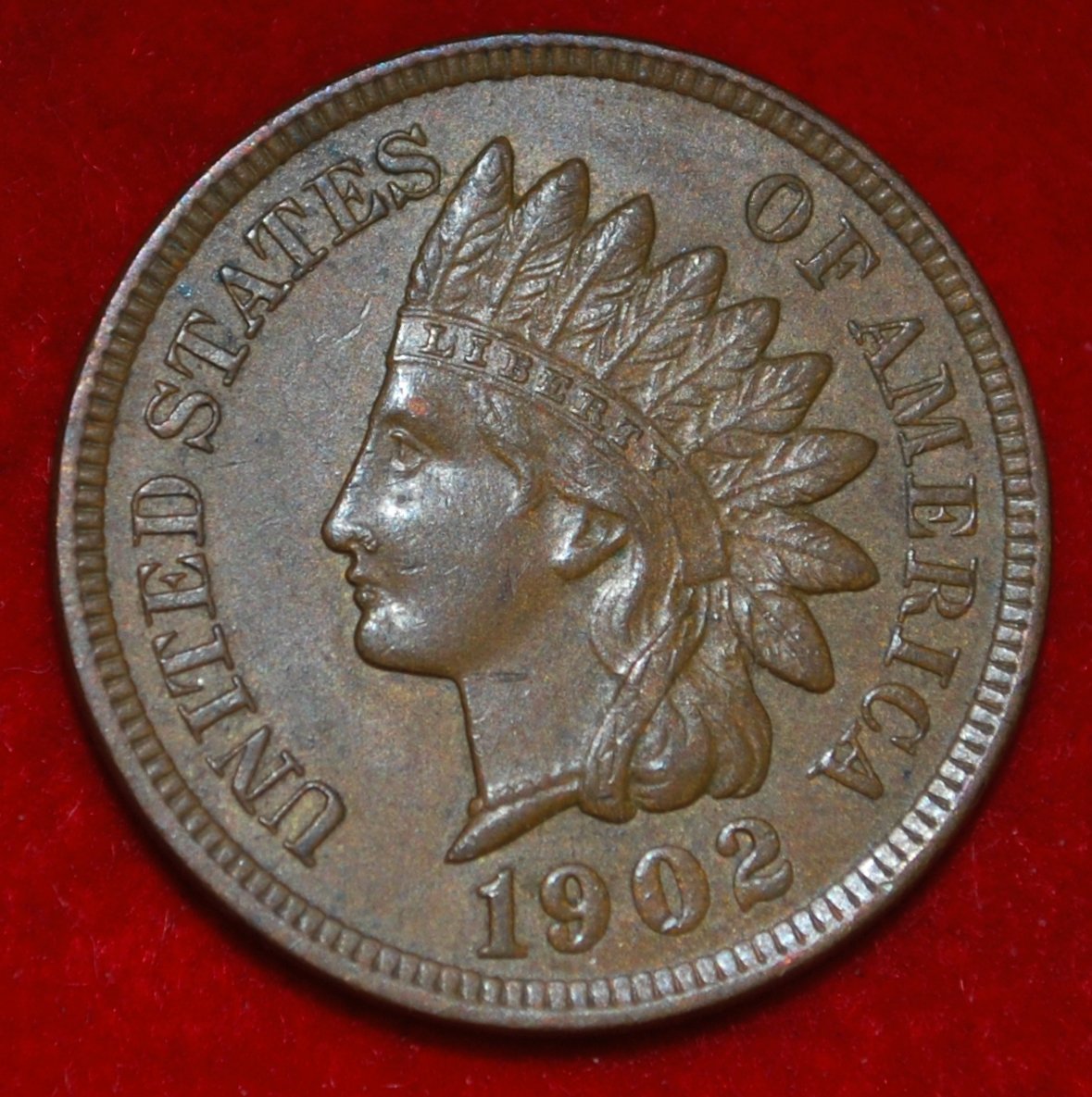 1902-Indian-Cent--Varietiy?