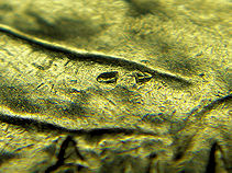 2006-Colorado-Washington-State-Quarter-Cud