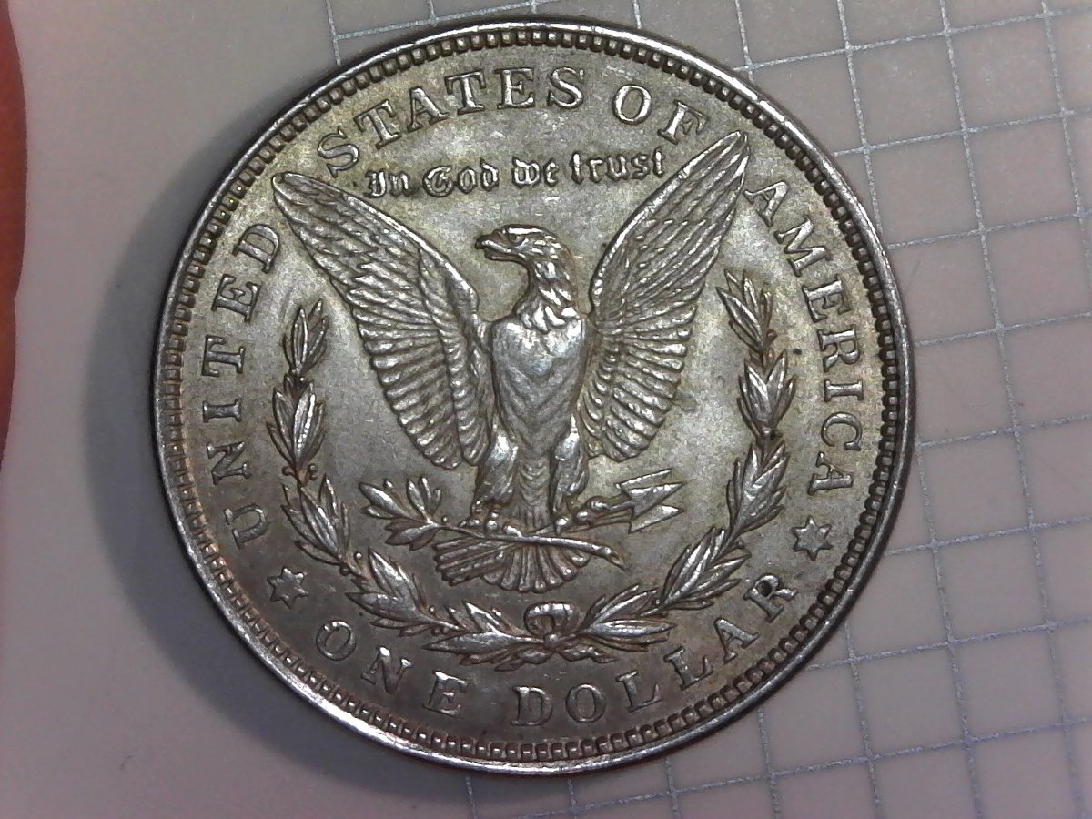 1921-Morgan-Dollar-Grade-Help