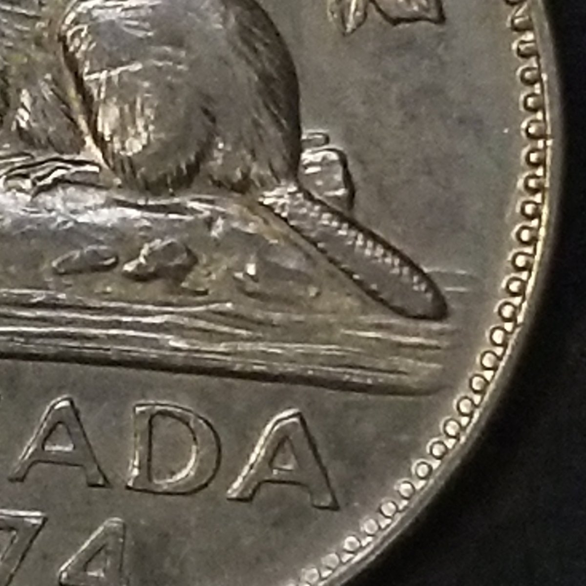 1974-Canada-5-Cent-Bug-Tail