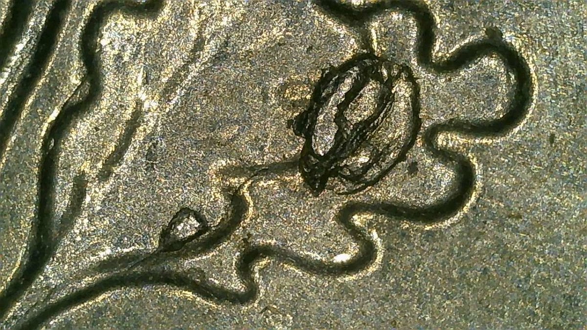 2021-P-Dime-Die-Breaks-Front-And-Back