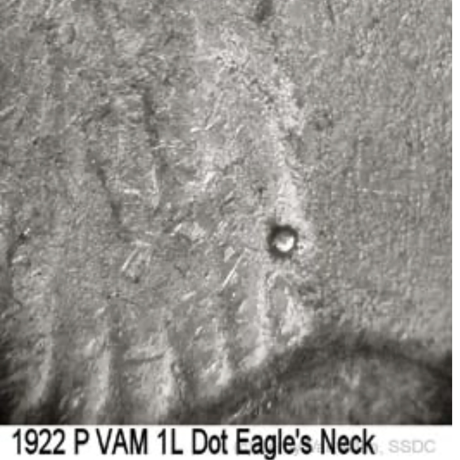 1925-P-Peace-Dollar-With-Dots.-How-Are-Dots-Formed?-VAM?