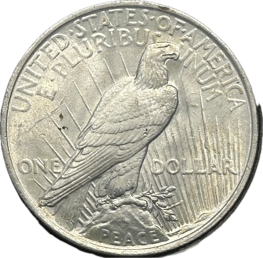 1922-P-Peace-Dollar.-Maybe-Clash-Obv.-N-And-Extended-Stem-Die-Break