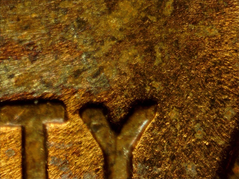 D'oh,-Don't-Know-If-I-Can-Prove-That-It-Is-1956-D-Cent