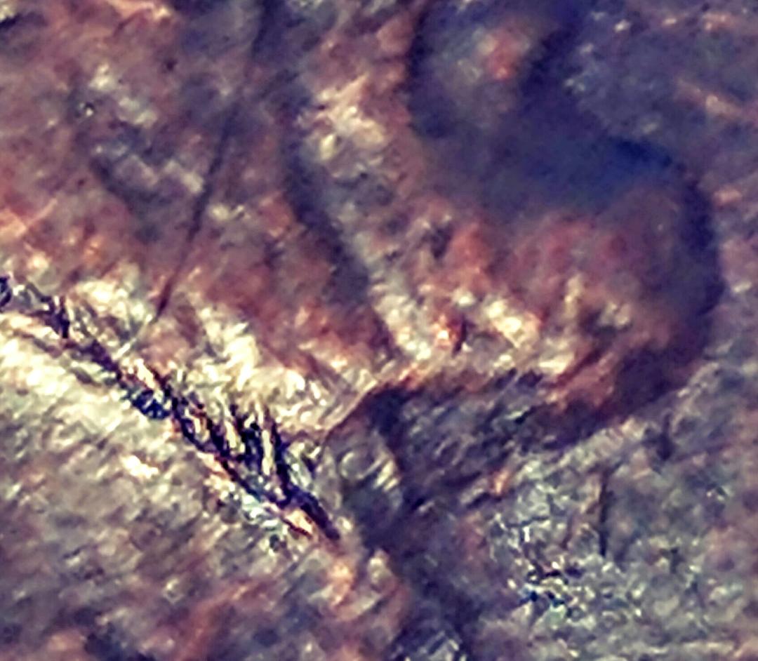 New-Member---Need-Help-With-A-1983-And-1999-Lincoln-Cent