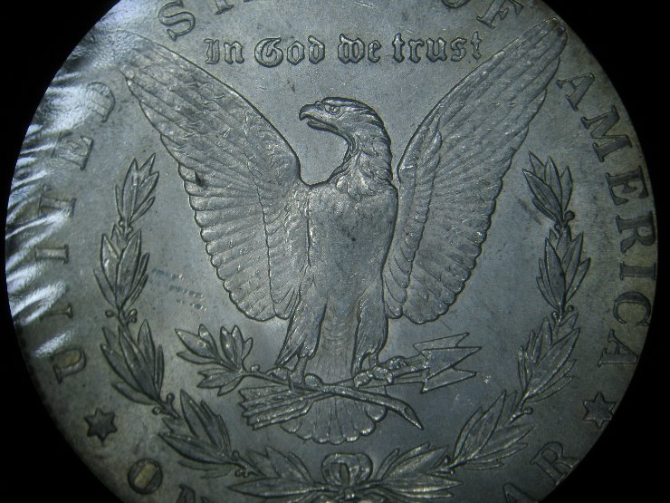 1891-S-Morgan---Looking-For-VAM-Number