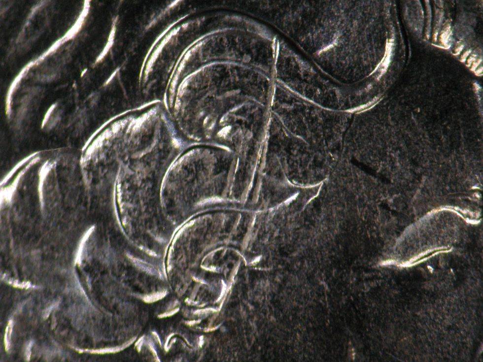 Strange-Looking-2024-Loonie!