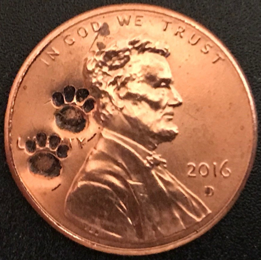 A-Running-Thread-Of-Chafemasterj's-Counterstamped-Lincoln-Cents.