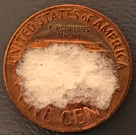 A-Running-Thread-Of-Chafemasterj's-Counterstamped-Lincoln-Cents.