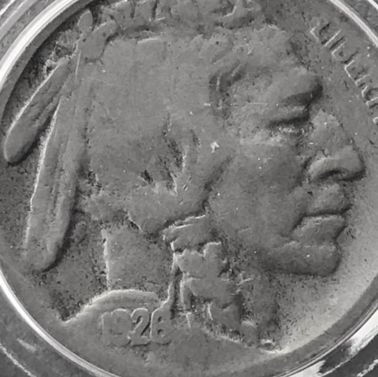 Possible-1926-D-Buffalo-Nickel-2-Feather