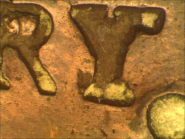 Dateless-Colonial-Copper-Coin.-Need-Your-Help-To-Identify-It.