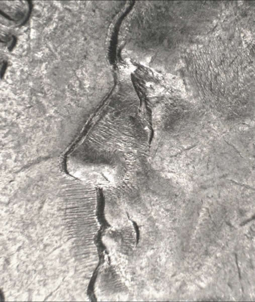1964-D-Jefferson,-Tdo-On-Eye?